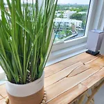 Elser Apartment